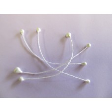 Flower Stems